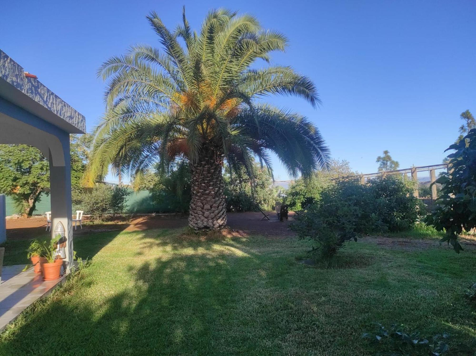 Cottage Gran Canaria Completely Renovated With Jacuzzi Valsequillo de Gran Canaria Exterior foto