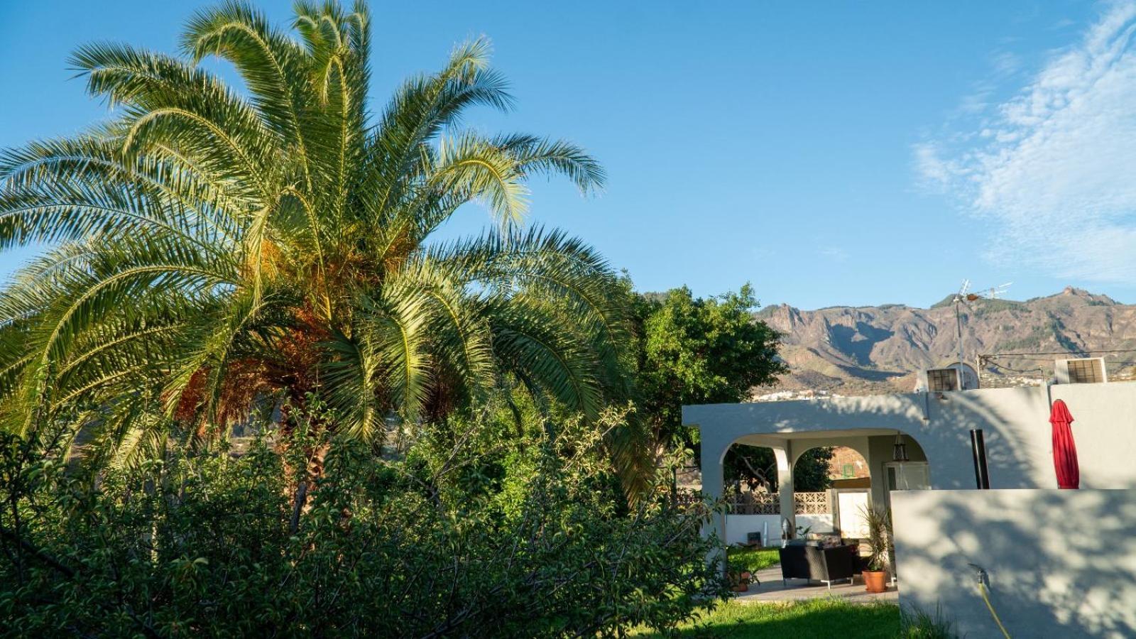 Cottage Gran Canaria Completely Renovated With Jacuzzi Valsequillo de Gran Canaria Exterior foto